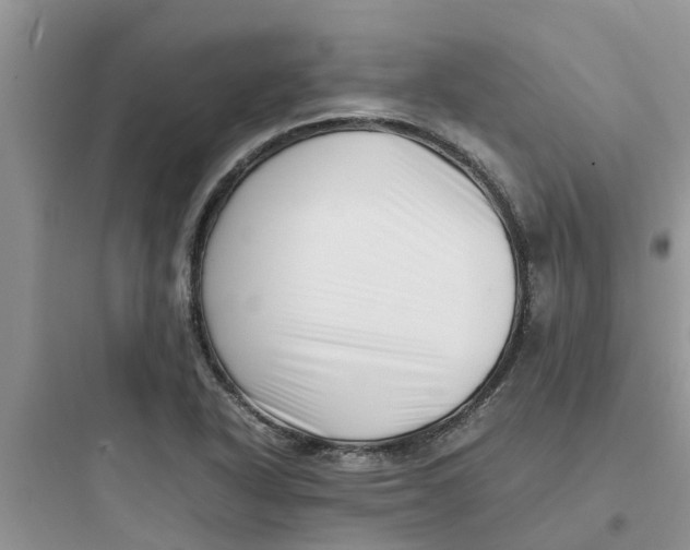 X0000097641318200803211824