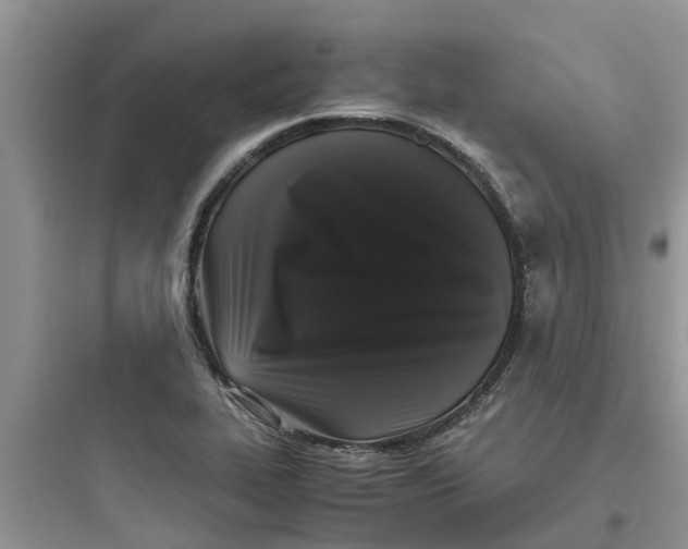 X0000097641319200803211824