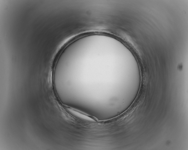 X0000097641320200803211824