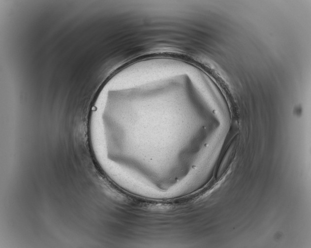 X0000097641321200803211824