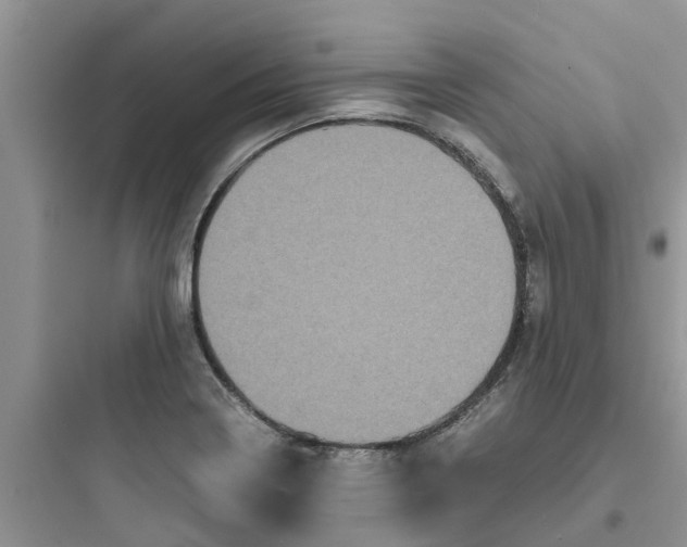 X0000097641322200803211824