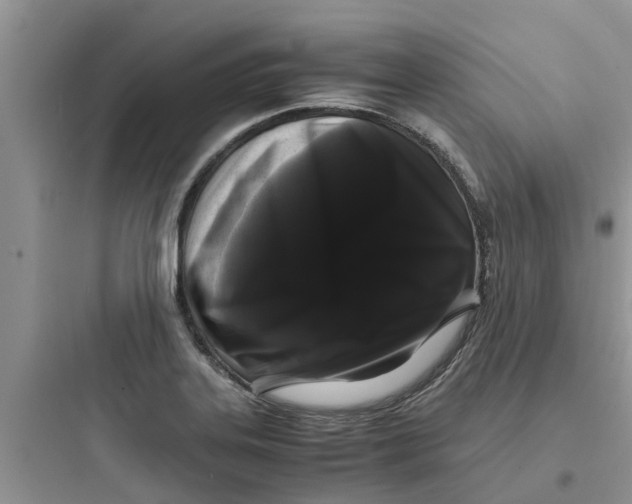 X0000097641323200803211824