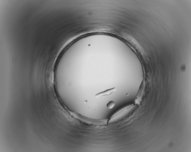 X0000097641324200803211824