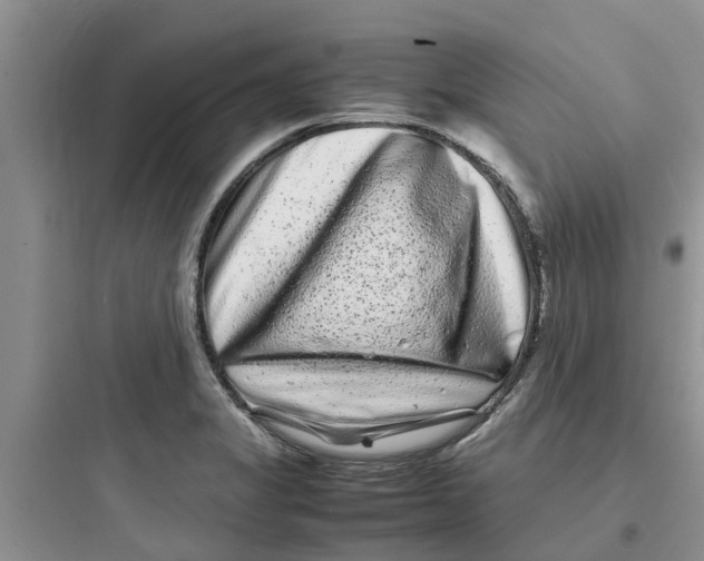 X0000097641325200803211824