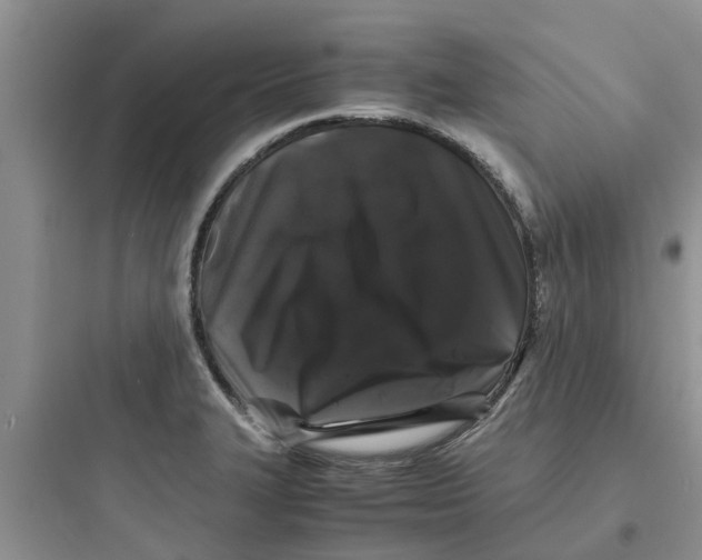 X0000097641327200803211824