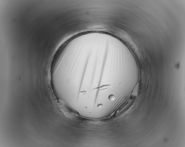 X0000097641328200803211824