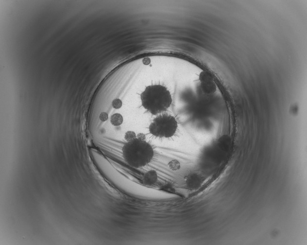 X0000097641329200803211824