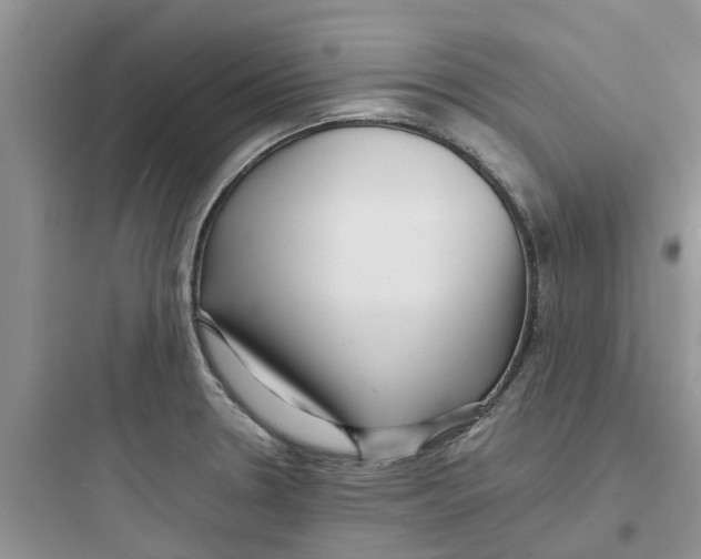 X0000097641330200803211824