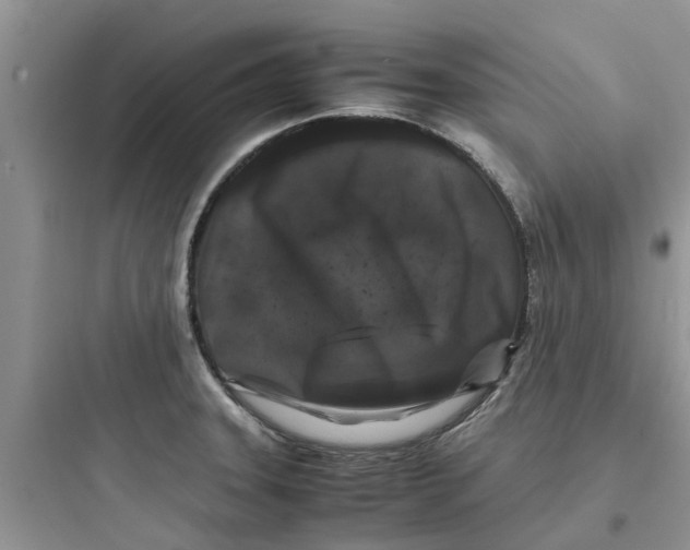 X0000097641331200803211824