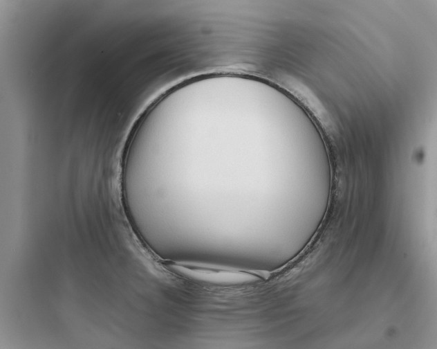 X0000097641332200803211824