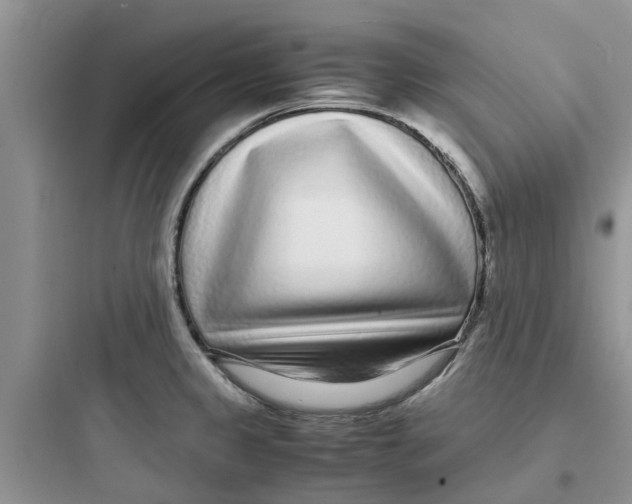 X0000097641333200803211824