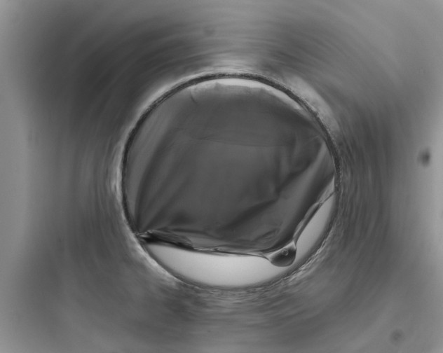 X0000097641334200803211824