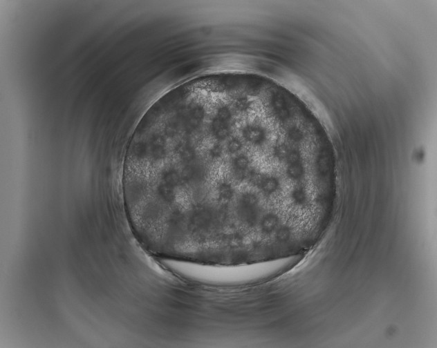 X0000097641337200803211824