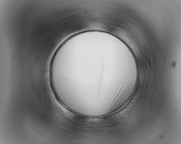 X0000097641339200803211824