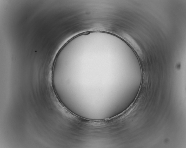 X0000097641340200803211824