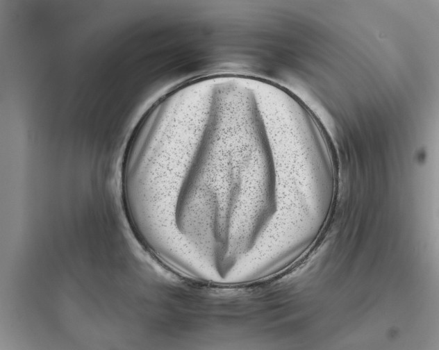 X0000097641341200803211824