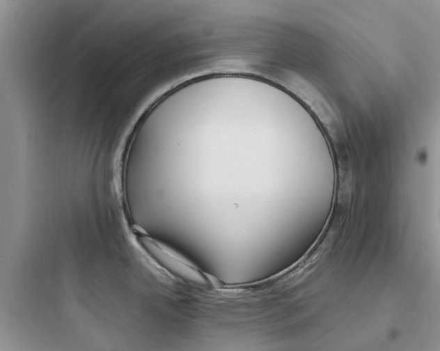 X0000097641342200803211824