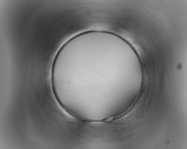 X0000097641343200803211824