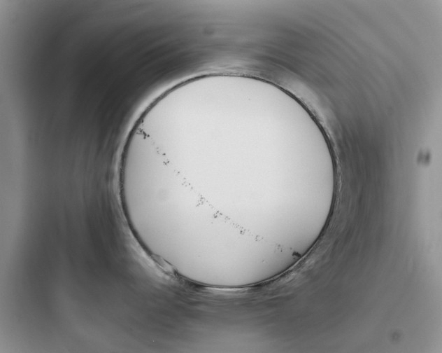 X0000097641344200803211824