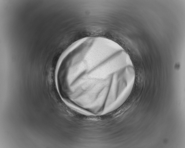 X0000097641346200803211823