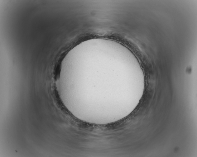 X0000097641349200803211823