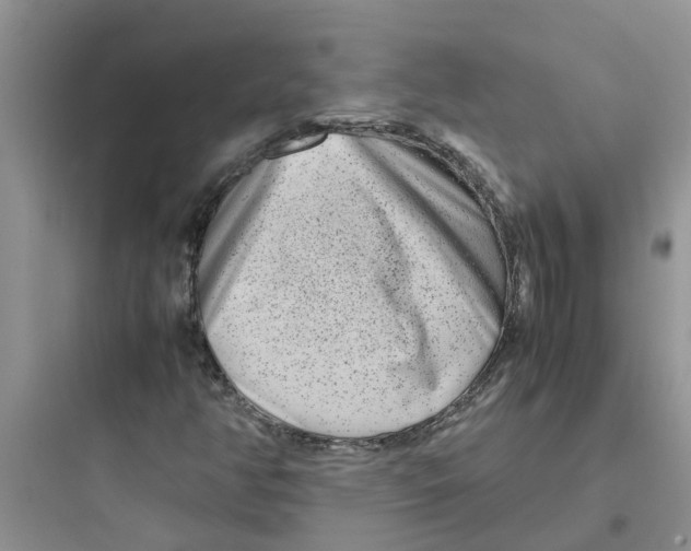 X0000097641350200803211823