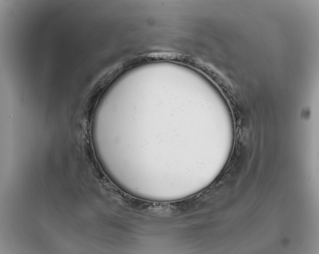 X0000097641351200803211823