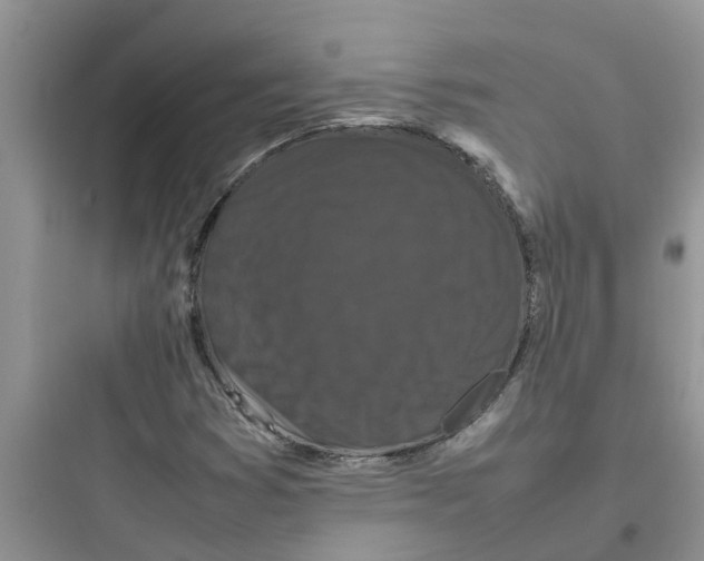 X0000097641353200803211823