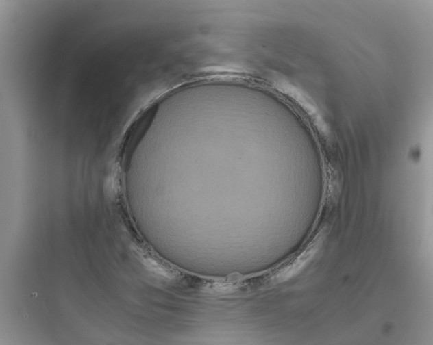 X0000097641357200803211823