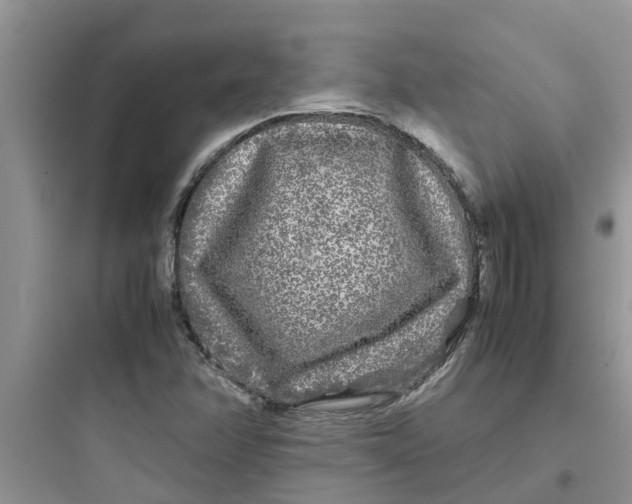 X0000097641358200803211823