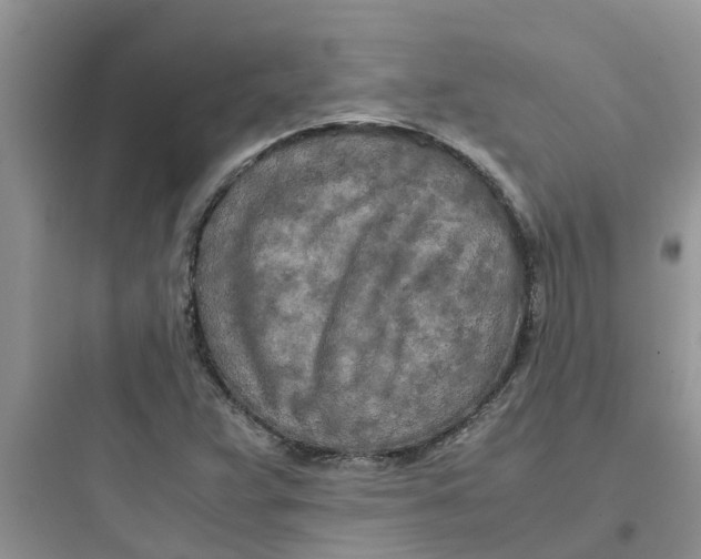 X0000097641359200803211823