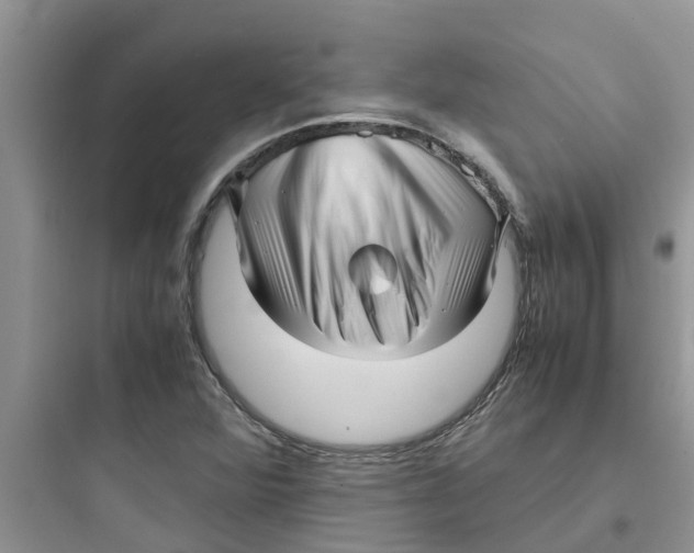 X0000097641360200803211823