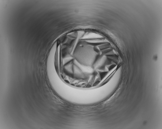 X0000097641361200803211823