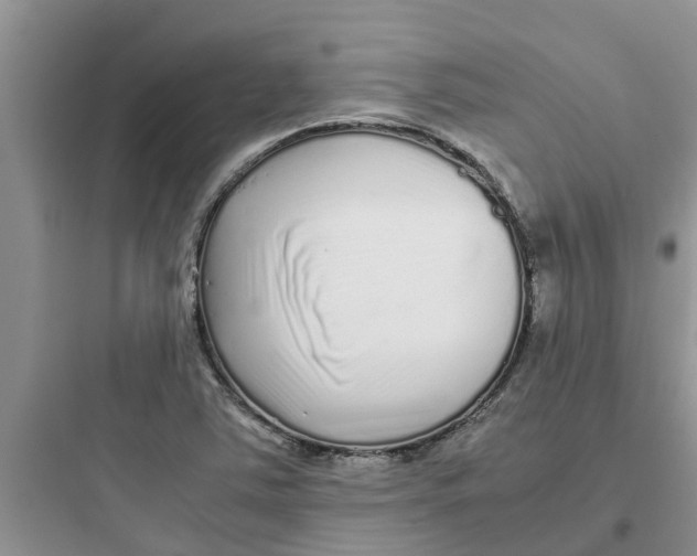 X0000097641363200803211823