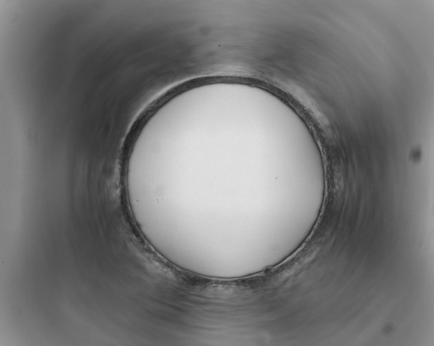 X0000097641364200803211823