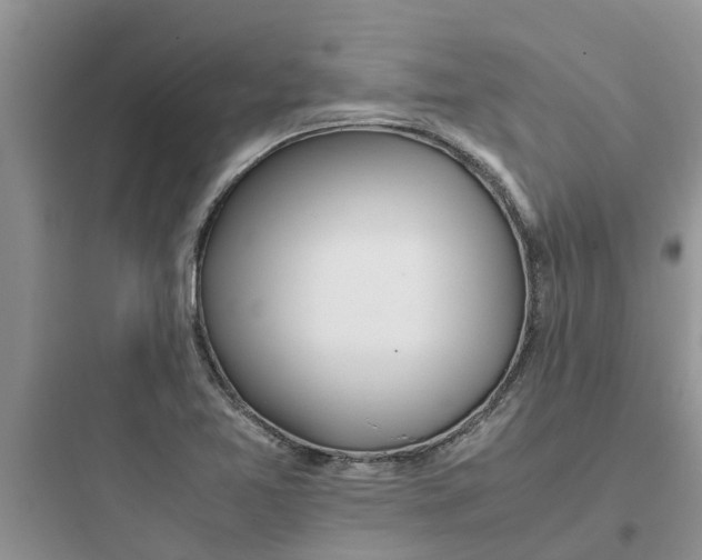 X0000097641365200803211823