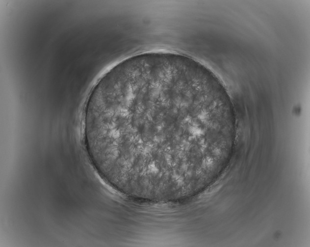 X0000097641367200803211823