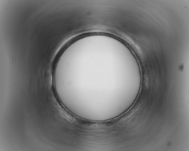 X0000097641368200803211823