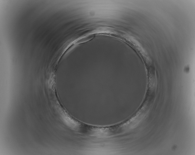 X0000097641369200803211823