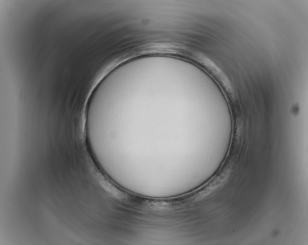 X0000097641370200803211823