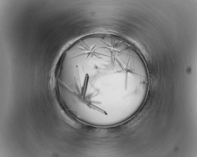 X0000097641371200803211823