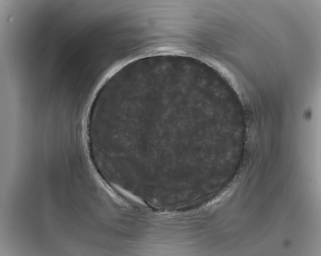 X0000097641373200803211823