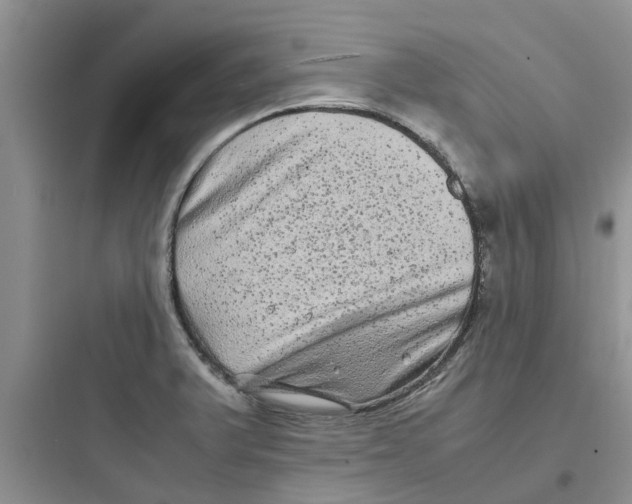 X0000097641375200803211823