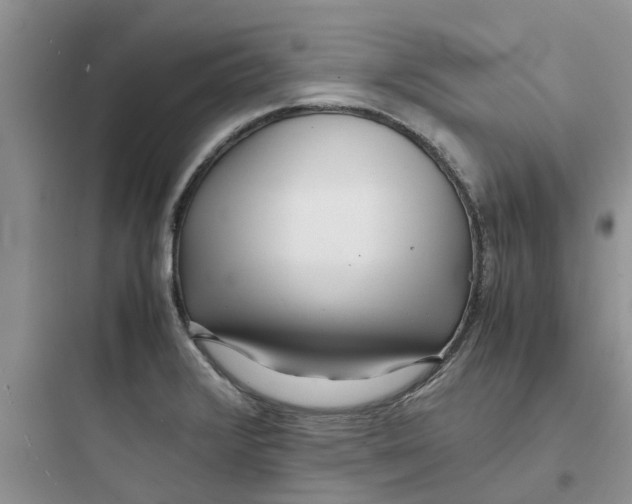 X0000097641376200803211823