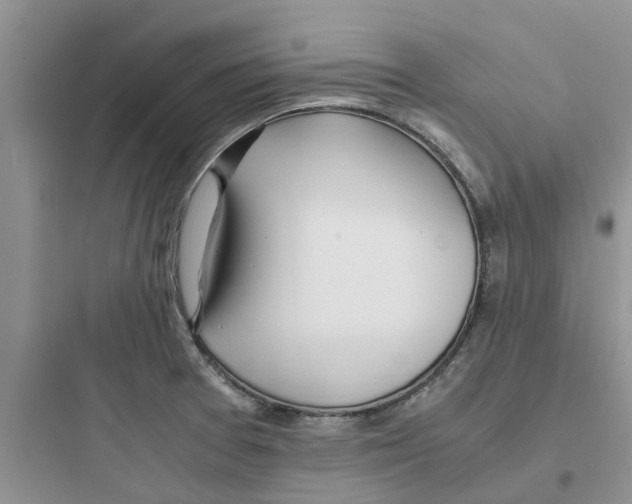 X0000097641377200803211823