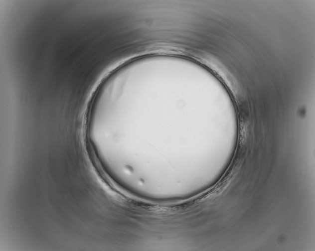 X0000097641379200803211823