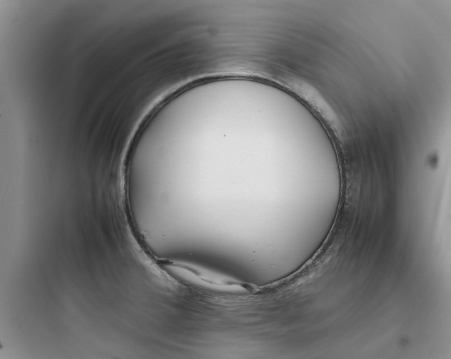 X0000097641380200803211823