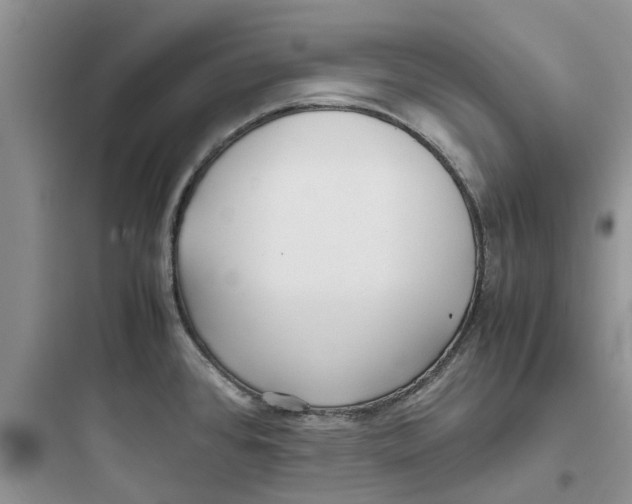 X0000097641384200803211822