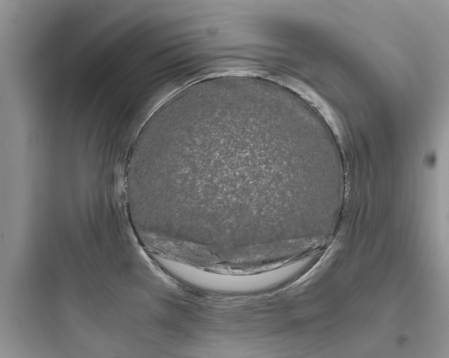 X0000097641385200803211822