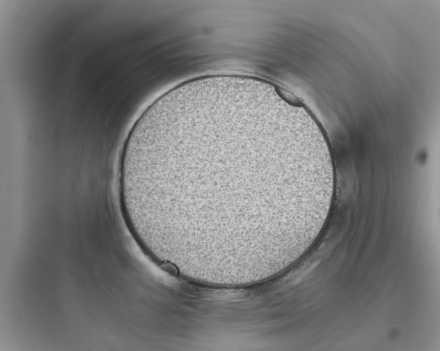 X0000097641387200803211822